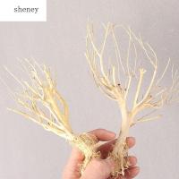 SHENEY ตู้ปลาต้นไม้มอสสำหรับตกแต่งตกแต่งบอนไซภูมิทัศน์ใต้น้ำแบบ DIY ต้นกิ่งต้นไม้อุปกรณ์สำหรับตู้ปลา