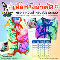 Doggy Style เสื้อหลังผ่าตัด สุนัขและแมว รุ่นNeon ชุดหลังผ่าตัด เสื้อกันเลีย Size 1-6 (แบบตัวเลือก) โดย Yes Pet Shop