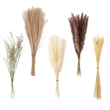 6pcs Pampas Grass With Extension Stem, Artificial Pampass Grass 17.7 Inch  Faux Pampas Grass Decor