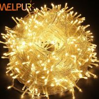 Strings Outdoor 220V 10M 20M 50M Birthday Decoration Lamp