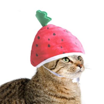 OAK อุปกรณ์เสริมเสริม หมวกสำหรับแมวคริสต์มาส ตุ๊กตาผ้าพลัฌ รูปแตงโมแตงโม หมวกแต่งตัวลายแมว น่ารักน่ารักๆ ชุดคลุมศีรษะ หมวกแตงโมแมว แมวแมวแมว