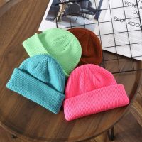 [COD] Q22 womens autumn and winter solid light plate curling knitted hat outdoor casual cold-proof warm woolen