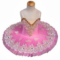 Professional Ballet Tutu Swan Lake Pink Dance Costume Lace Embroidered Girls Classical Ballet Tutu Leotard Ballet Dress For Kids