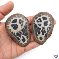 1 Pair Random Select Natural Fossil Sapterian Nodule de Septaria (paire) du Maroco  collection, decor or lithotherapy.