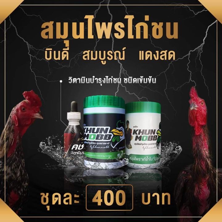 ชุดสมุนไพรไก่ชน-บินดี-สมบูรณ์-แดงสด-400-ไก่ชน-เลี้ยงไก่ชน-คชสารไก่ชน-ในชุดประกอบด้วย-คชสารวิตามิน-สมุนไพรม็อบ-สมุนไพรแก้ช้ำใน