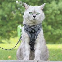 ต้นฉบับ Cat Traction Rope Vest-style Chest Harness Going Out Cat Special Anti-breakaway Cat Rope Silver Gradient Chain Supplies