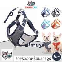 DUOMM (1) สายรัดอก ระบายความร้อน สายรัดสุนัข สำหรับสุนัขและแมว สายจูงสุนัข Cleverpet