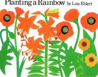 English original planting a rainbow paper book Wu minlan book list famous Lois Ehlert childrens Enlightenment story picture book