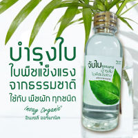 จับใบธรรมชาติ(250มล.) INSAY ORGANIC สารจับใบเสริมซิลิกอน ซิลิก้า โพรแทสเซียม ใช้เพิ่มประสิทธิภาพ ลดการเกิดแมลง