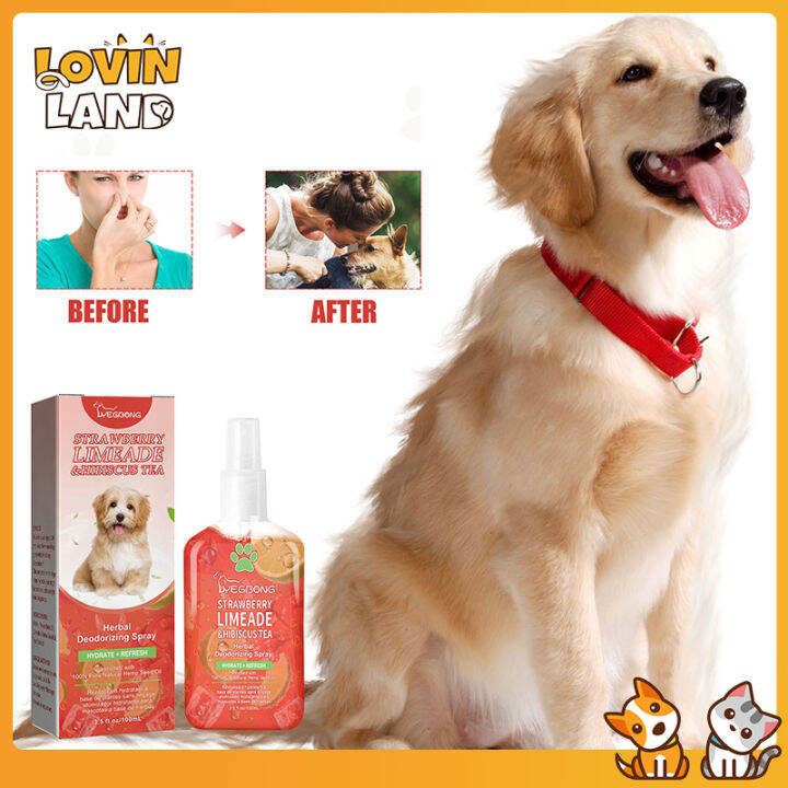 Lovinland 100ml Pet Deodorant Spray Cats And Dogs To Remove Urine Smell