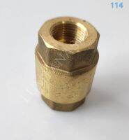 เช็ควาล์วสปริง Spring check valve of IGOS4  (LTA00114)