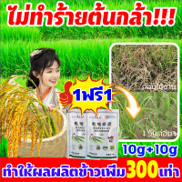 ?ไม่ทำร้ายข้าว!?FM ยาคุมหญ้าข้าว คุมฆ่าในนาข้าว ยาคุมหญ้าข้าว 1ฟรี1 เข้มข้นสุดๆ 10g ประหยัดข้าวจากวัชพืช เห็นผลรวดเร็ว ระยะเวลานาน (1ชุด ผสมน้ำ60catties) วัชพืชในนาข้าวต่างๆ หญ้าข้าวนก หญ้าหูหนู สารกำจัดวัชพืช คุมเลนนาข้าว ยาคุมหญ้า กำจัดวัชพืชดื้อยา