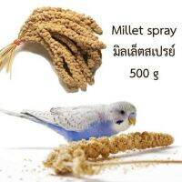 ช่อมิลเล็ต Millet Spray สีเหลืองสำหรับนก ขนาด 500g.[COD]