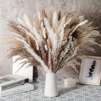 Pampas Grass Bouquet Fleurs Sechee Naturelle Dried Flowers Fleur Artificielle Decoration Flowers Artificial Wholesale Home Decor