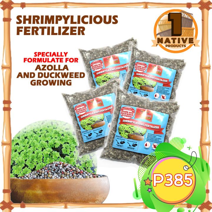 1Native Azolla Organic Fertilizer - A biofertilizer to improve Soil ...