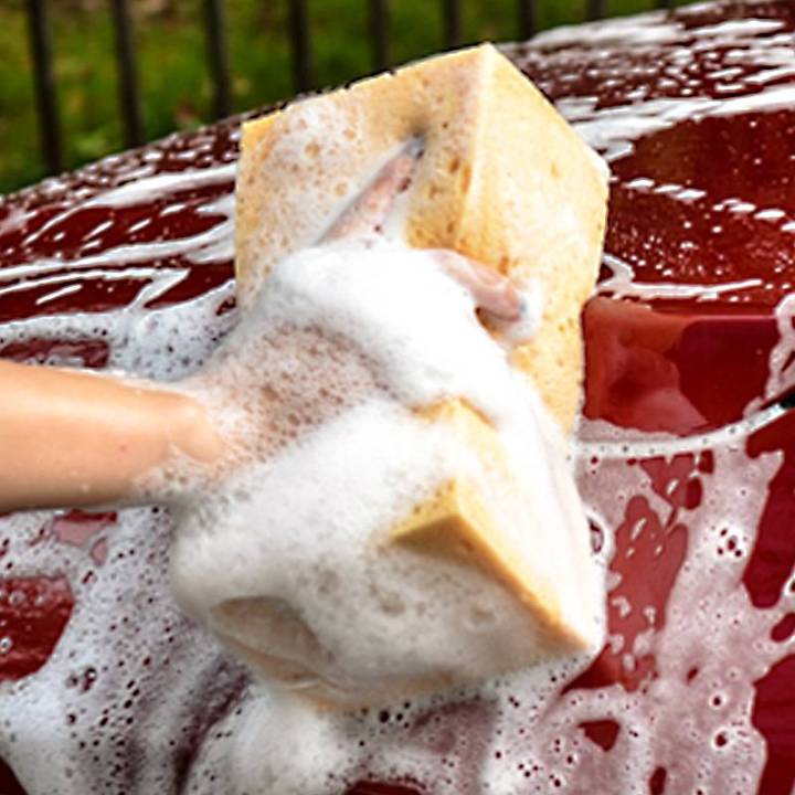 ฟองน้ำล้างรถปะการังสาหร่าย-ฟองน้ำสำหรับล้างรถยนต์-ฟองน้ำลงแว๊กซ์ล้างรถ
