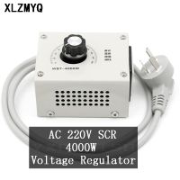 Voltage Regulator 4000W Portable Speed Temperature Light Voltage Adjuatable Dimmer AC 220V Compact Variable Voltage Controller Electrical Circuitry  P