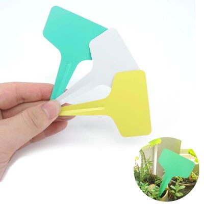 100X Plant suculentas T Markers Sign tags plastic Labels Flower mark Pots Plastic Waterproof for herbs Garden Tools supplies