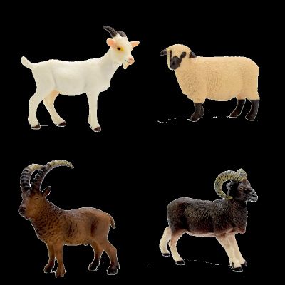 Simulation model of goats sheep Tibetan antelope disc horn sheep lambs wild animal model toys furnishing articles