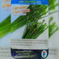 กุยช่ายดอก นายหัว TA065 chnese chive nai hua เพื่อนเกษตร