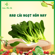 [Giao nội thành Hà Nội] Rau cải ngọt Vườn Nhà Mẹ - 1kg cải ngọt tươi xanh, chất lượng cao - Rau củ quả tươi, sạch, chuẩn VietGap thumbnail