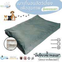 Bed Care For Pet เซทเบาะที่นอนสัตว์เลี้ยงพร้อมปลอก รุ่นธรรมดา "สีเขียวน้ำทะเล"