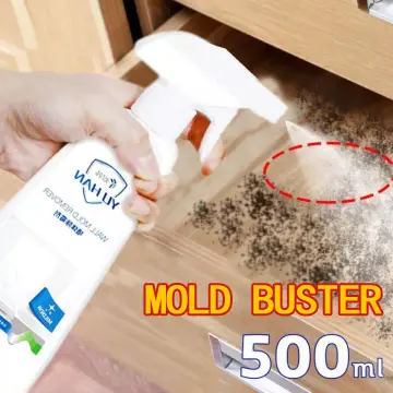 Mold Removal, Mold Removal Spray