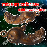 พร้อมจัดส่ง ปลัดหัวชะมดเพชรพญาธร หรือ ทิพยาธร จัดส่ง 1-3 วันได้รับ