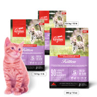 สูตรใหม่! ORIJEN Kitten Cat Food สูตรสำหรับแมวอายุ 2เดือน หรือหย่านมเป็นต้นไป ขนาด 340g/1.8kg /5.4kg