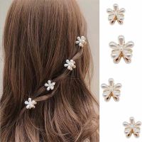 【YF】✸  10Pcs/Lot Hair Claw Five Hairpin Small Grab Accessories