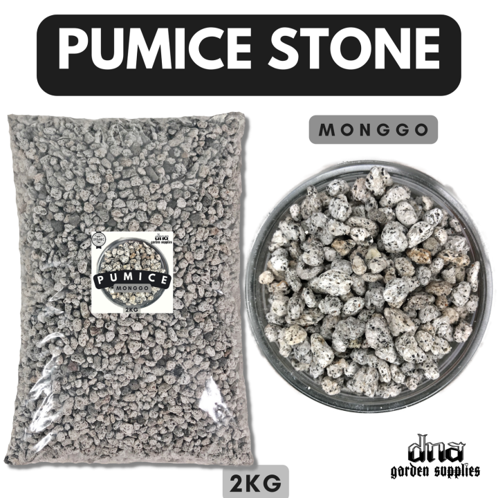 PUMICE STONE MATANG HITO 2KG for a denser soil aeration that will
