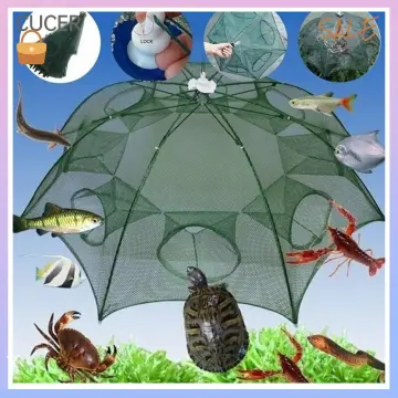 magic fishing net - Buy magic fishing net at Best Price in