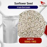 ทานตะวันขาวนอก White Sunflower อาหารนก กระต่าย หนู กระต่าย กระรอก ชูก้า และสัตว์ฟันแทะ อาหารสัตว์เลี้ยง (แบ่งขาย 500G / 1KG)