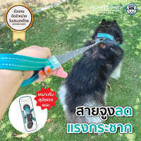 สายจูงลดแรงกระชาก Shock Absorbing leash - Kumfi Comfy จากตัวแทนจำหน่ายอย่างเป็นทางการ เจ้าเดียวในประเทศไทย