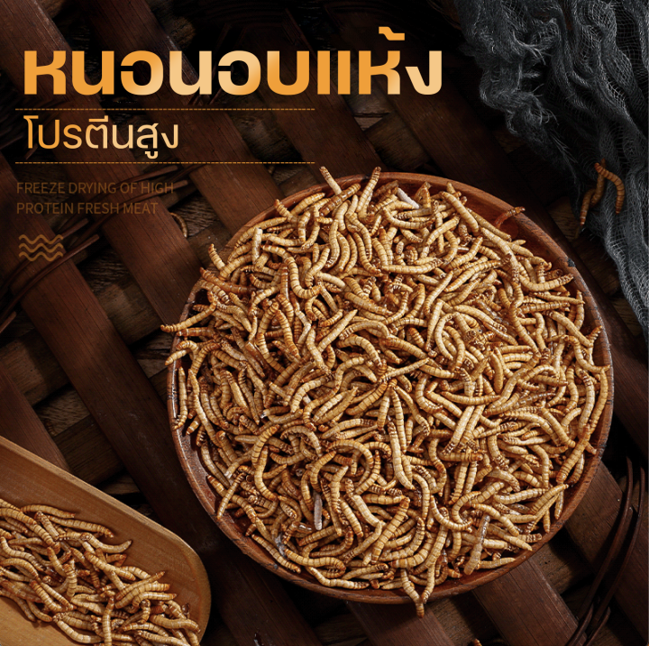 morumaru-หนอนนกอบแห้ง-100g-200g-1000g-ขนมสำหรับสัตว์เลี้ยงแฮมเตอร์-เม่นแคระ-แฟตเทล-ชูก้าไรเดอร-นก-ปลา