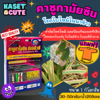 ? แถมฟรีเสื้อ 1 ตัว ทีเอที คาซูกามัยซิน (คาซูกามัยซิน2%SL) ป้องกันโรคใบไหม้และแบคทีเรีย (1กิโลกรัม)