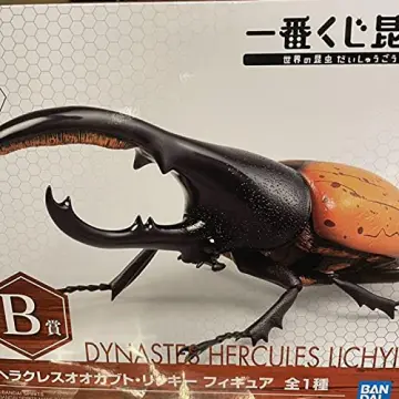 Hercules beetle様専用-
