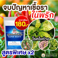 โรคพืช จบปัญหาเชื้อราในพริก ? ครบจบในซองเดียว วัคซีนพืชซุปเปอร์ไบโอฟิต โคโตซานเข้มข้น พืชแข็งแทน มีภูมิคุ้มกัน ทนต่อโรคและแมลง