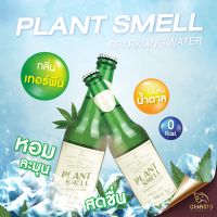 เครื่องดื่มโซดากลิ่นเทอพีนสูตร2 Plant smell หอม อร่อย