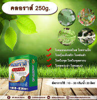 คลอราส์ 250g. คาร์เบนดาซิม+โพรคลอลาส สารกำจัดเชื้อรา โรคแอนแทรคโนส โรคกุ้งแห้ง โรคดอกดำในมะม่วง โรคราแป้ง โรคพืช allaboutplants