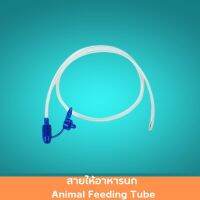 สายให้อาหารนก Animal Feeding Tube เบอร์ 6-16 สายป้อนอาหารลูกนก สายป้อนอาหารหัวใหญ่ สายให้อาหาร สายป้อนอาหารใช้ง่าย 1 ชิ้น สินค้ามาตรฐาน ปลอดภัย Healthcareplus