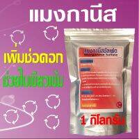 แมงกานีสซัลเฟต ผงจุลธาตุแมงกานีส 32% ช่วยสร้างคลอโรฟิลล์ ใบพืชสีเขียวขึ้น สังเคราะห์แสงได้ดี เพิ่มจำนวนช่อดอก  ขนาด 1 กิโลกรัม