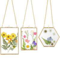 【hot】✉☞  3 Packs Pressed Flowers Glass Frames- Hanging Picture Frames With Chain Floating Artwork Display