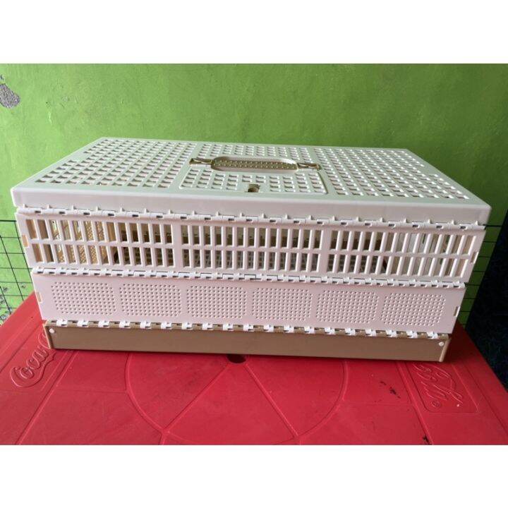 Taiwan training box for pigeon Plastic Large Lazada PH