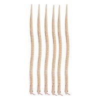 【CC】 6 Pcs Artificial Wood Snake Tricky Props Crawling Kids