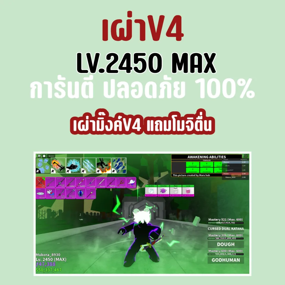 Blox Fruit Lv:2450Max 100%, full Awakening 100%