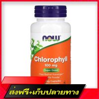 Fast and Free Shipping Now Foods Chlorophyll 100 mg 90 Veggie Caps Ship from Bangkok Ship from Bangkok