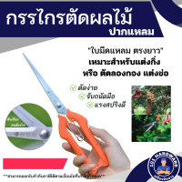 กรรไกรตัดกิ่ง 8 นิ้ว proma กรรไกรตัดลองกอง กรรไกรตัดมังคุด ตัดแต่ง ตัดผล ตัดดอก ไม้ดอกไม้ประดับ บอนไซ ไม้ดัด กรรไกรปลายแหลม กรรไกรปากแหลม