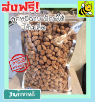 ส่งฟรี!! 500 กรัม (พร้อมทาน) ลูกหยีฉาบน้ำตาลไร้เมล็ด เกรด A เม็ดใหญ่ สูตรโบราณ รสชาติอร่อย (มีให้เลือก 500 และ 100 กรัม) หอม เปรี้ยว หวาน ลงตัว โดยธรรมชาติ ลูกหยีเคลือบน้ำตาลไร้เมล็ด ลูกหยีไม่มีเม็ด ลูกหยีสด ลูกหยีฉาบน้ำตาล ลูกหนีฉาบ ลูกหยีไร้เม็ด