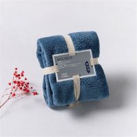 Microfiber Soft Large Towel Luxury Home Towels Comfort Breathable Coral Velvet Towel Washrag Hotel Bath Face Towels Supplies